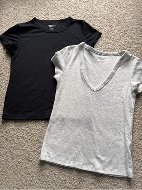 American Eagle Outfitters Black & Light Gray Crop Tee Duo